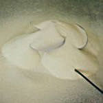 Plants: image 10 0f 15 thumb